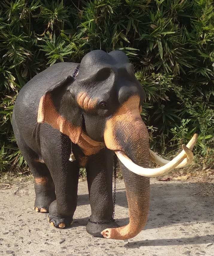 438158401_1511963116408775_6978203916225234116_n