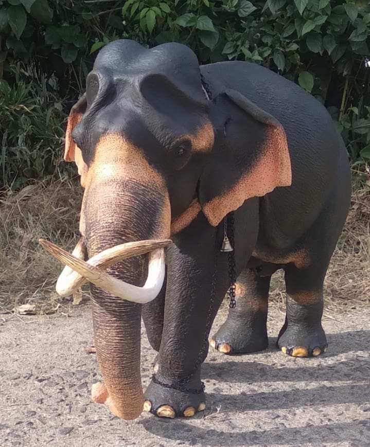 438204712_1486107268983959_4433161644214408837_n