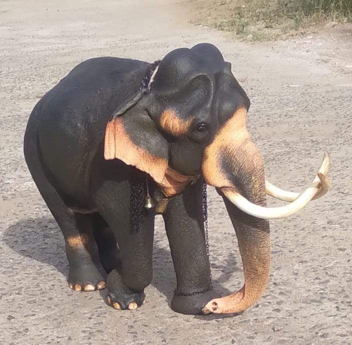 438231943_1110450823569109_543192461713318752_n