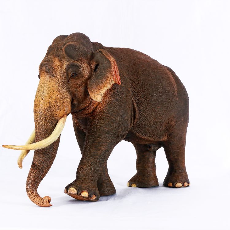 Yala Arjuna Tusker at Yala National Park - Sri Lanka